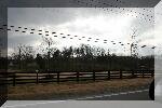 IMG_3872-01.jpg