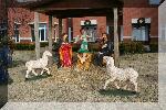 IMG_3876-01.jpg