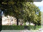 S8130019.jpg