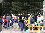 S8150052.jpg