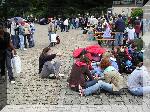 S8150059.jpg