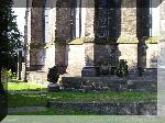 S8180130.jpg