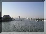 S8180135.jpg