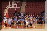 DSC_1304-01.jpg