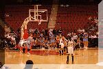 DSC_1330-01.jpg