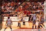 DSC_1370-01.jpg
