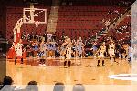 DSC_1384-01.jpg