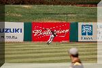 DSC_3943.jpg