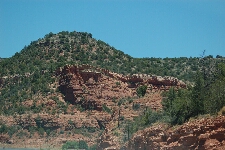 DSC_4598.jpg