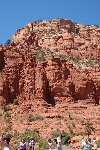 DSC_4646.jpg