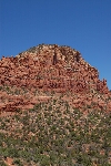 DSC_4650.jpg