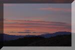 DSC_0254-01.jpg