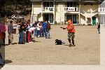 DSC_1835-01.jpg