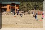 DSC_1984-01.jpg