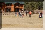 DSC_1988-01.jpg
