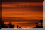 DSC_3641.jpg